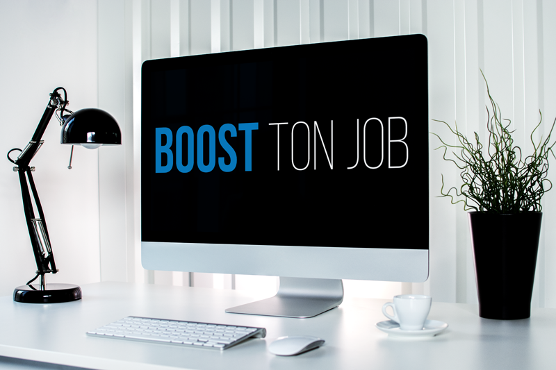 Portfolio Boost Ton Job